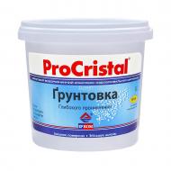 Ґрунтовка глибокопроникна Ircom Decor акрилова ІР-01 1 л